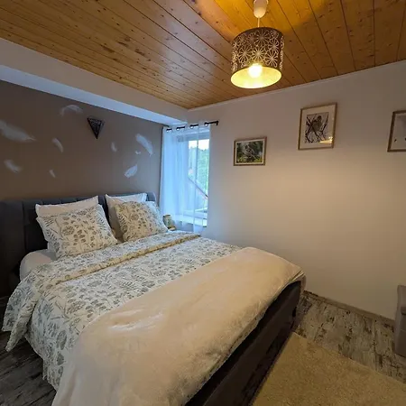 Holiday home Chaleureux Avec Terrasse, Proche Sentiers De Randonnee, Equipements Inclus, A 30min De Saint-die - Fr-1-589-381 Le Saulcy